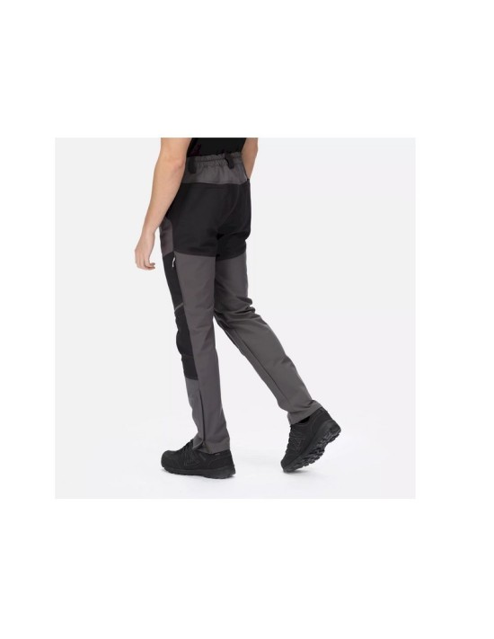 Regatta Questra IV Wanderhose Grey