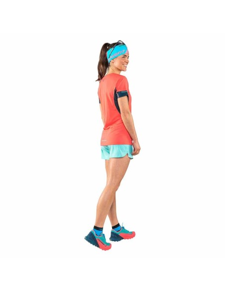 Short Trail / Running Dynafit Alpine 2W Blue