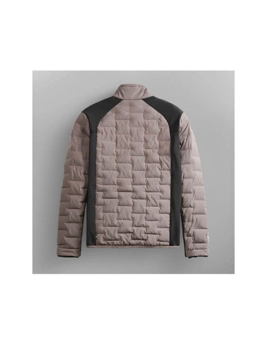 Picture Horses Plum Truffle Jacke