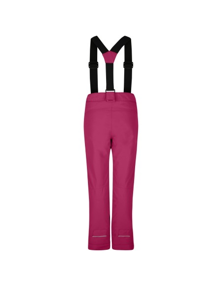 Pantalon de ski Dare 2B Motive Pant Berry Pink