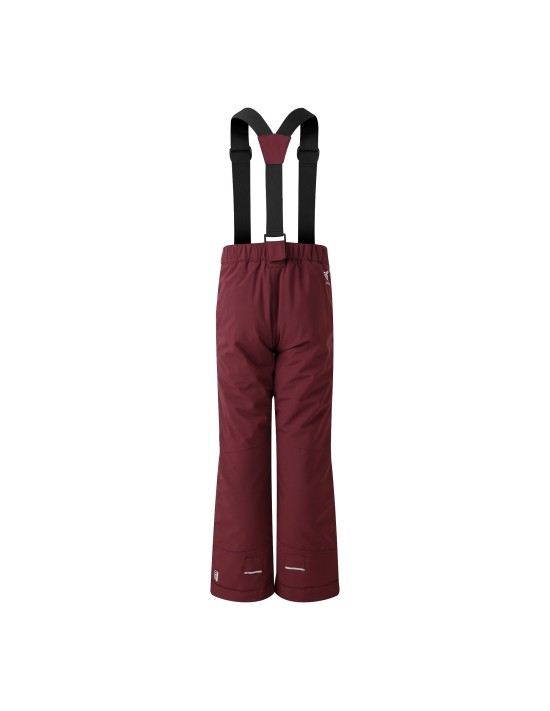 Pantalon de ski Dare 2B Outmove II Fig