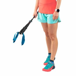 Short Trail / Running Dynafit Alpine 2W Blue