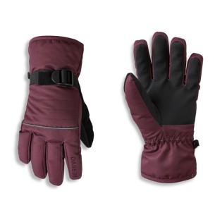 Gants de Ski Junior Neufs Dare 2B Glacier Glove Fig