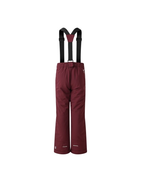 Pantalon de ski Dare 2B Outmove II Fig