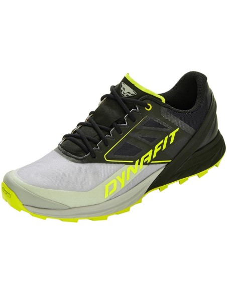 Chaussure de Trail Dynafit Alpine Alloy Black Out