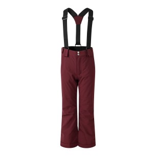 Pantalon de ski Dare 2B Outmove II Fig